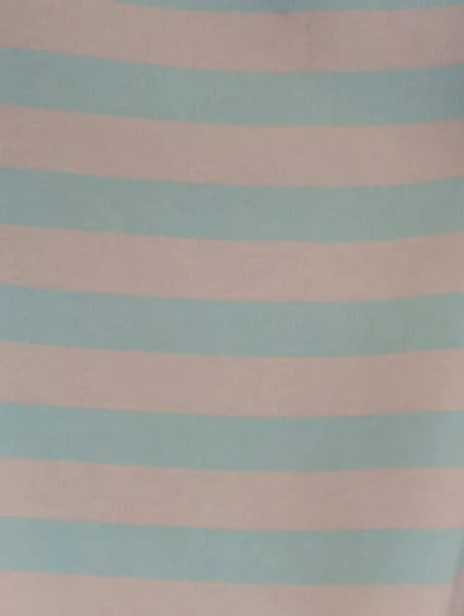 Dakota Blue Stripe Top - Image 6